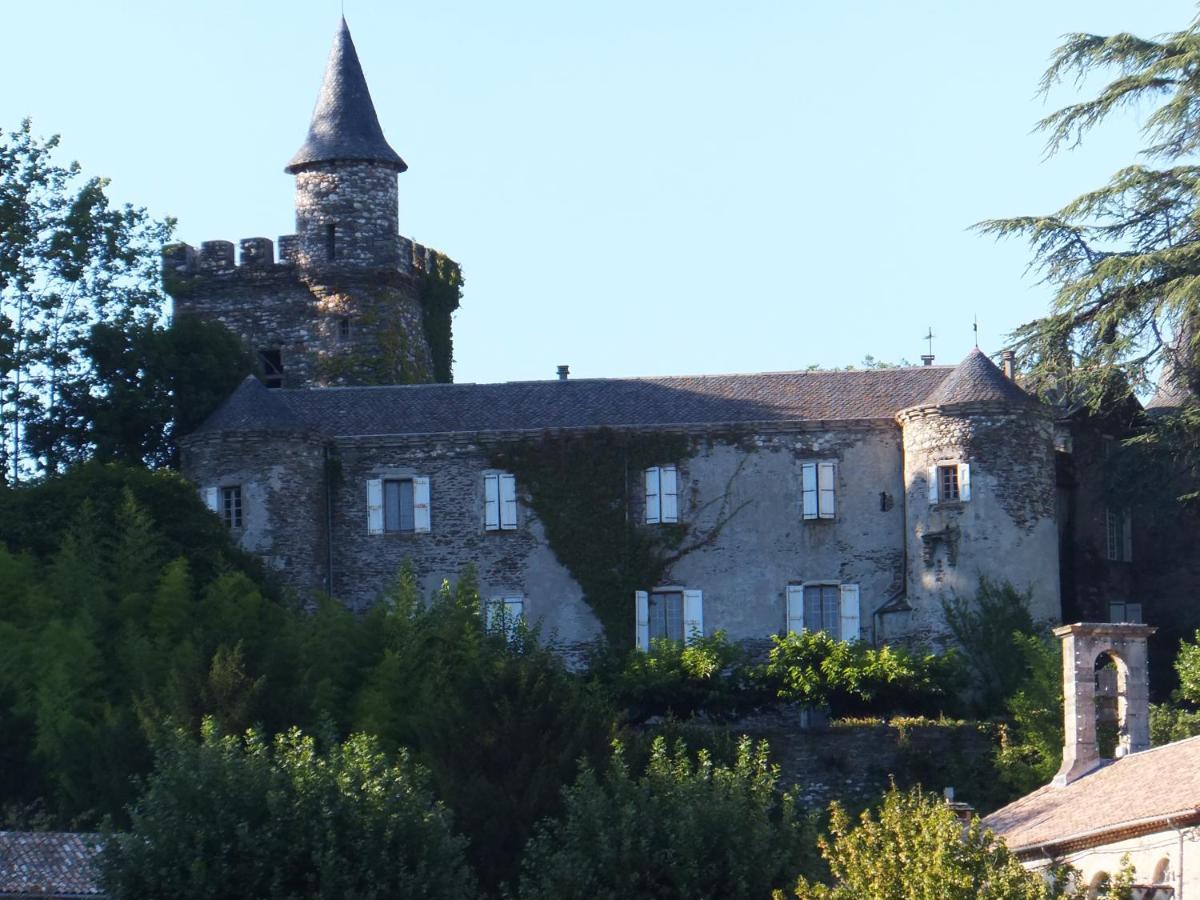 Le Chateau De Cambiaire Saint-Etienne-Vallee-Francaise Buitenkant foto