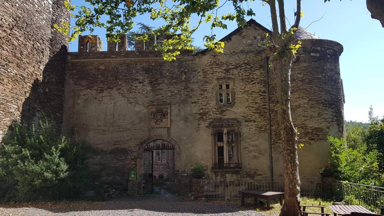 Le Chateau De Cambiaire Saint-Etienne-Vallee-Francaise Buitenkant foto