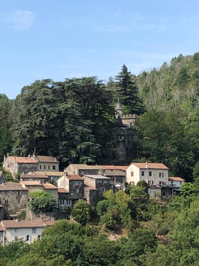 Le Chateau De Cambiaire Saint-Etienne-Vallee-Francaise Buitenkant foto