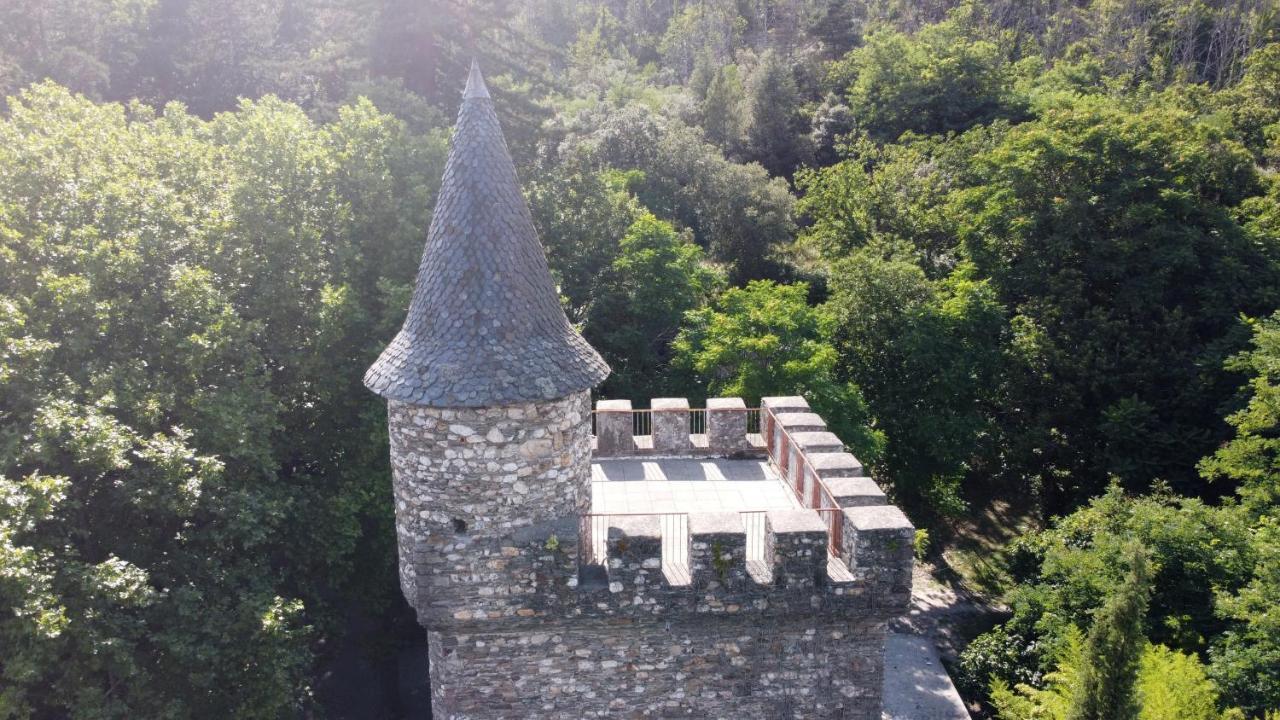 Le Chateau De Cambiaire Saint-Etienne-Vallee-Francaise Buitenkant foto